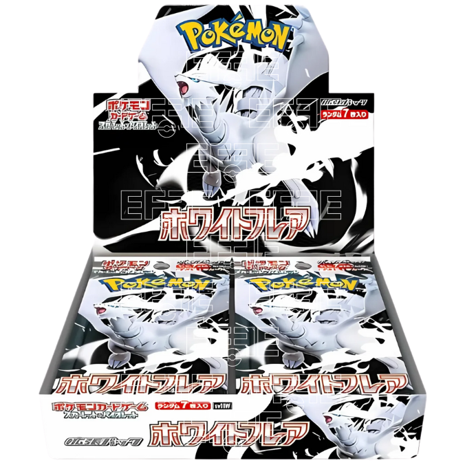 White Flare Display 20 Buste (JP)
