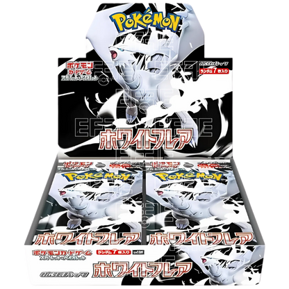 White Flare Display 20 Buste (JP)