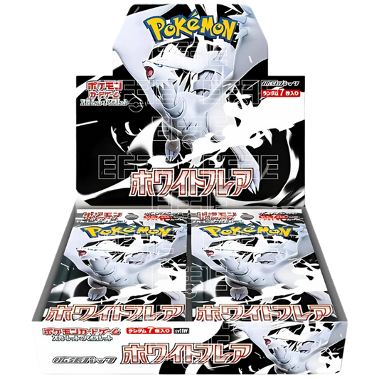 White Flare Display 20 Buste (JP)