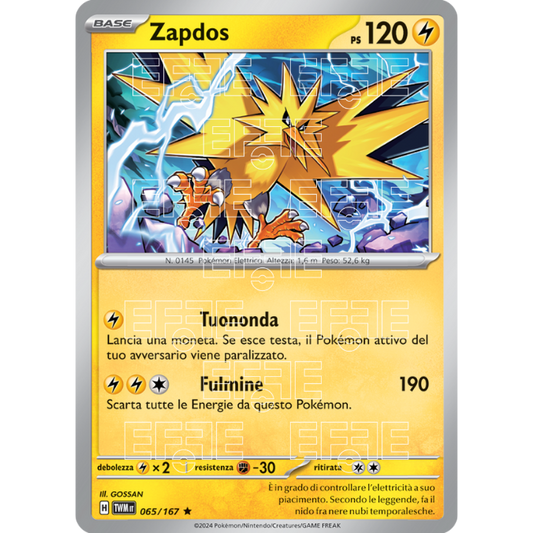 Zapdos 065-167 (IT;TWM)