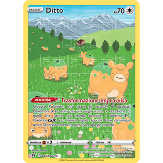 Ditto 182-159 GG22 (IT) Zenit Regale